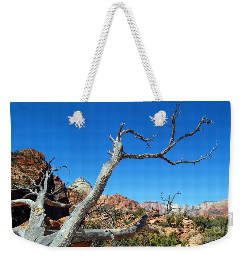 Zion National Park Weekender Tote Bag featuring the photograph Zion Reaching Tree by Debra Thompson
