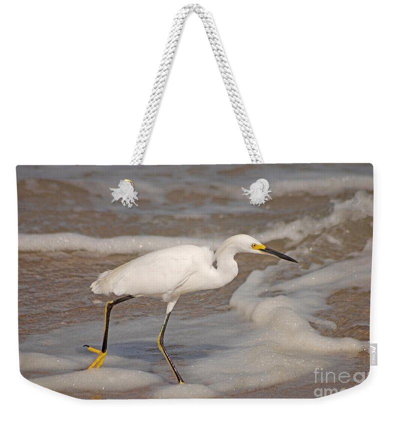 Snowy Egret Weekender Tote Bag featuring the photograph 22- Snowy Egret by Joseph Keane