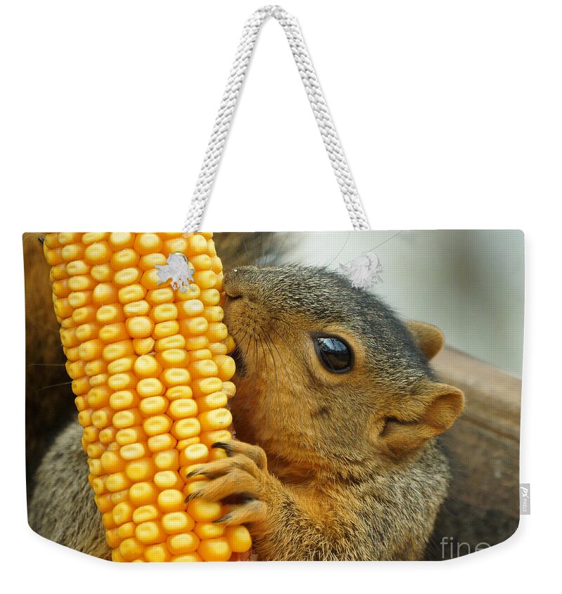 Squirrel Weekender Tote Bag featuring the photograph Squirrel #22 by Lori Tordsen