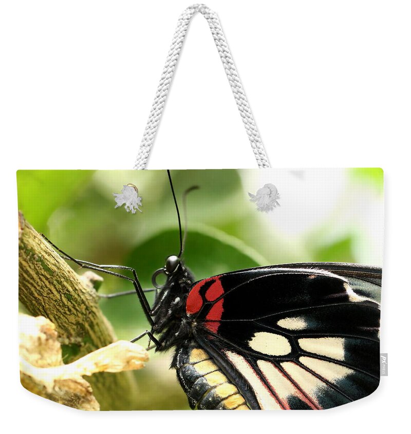 Butterfly Weekender Tote Bag featuring the photograph Butterfly #24 by Heike Hultsch
