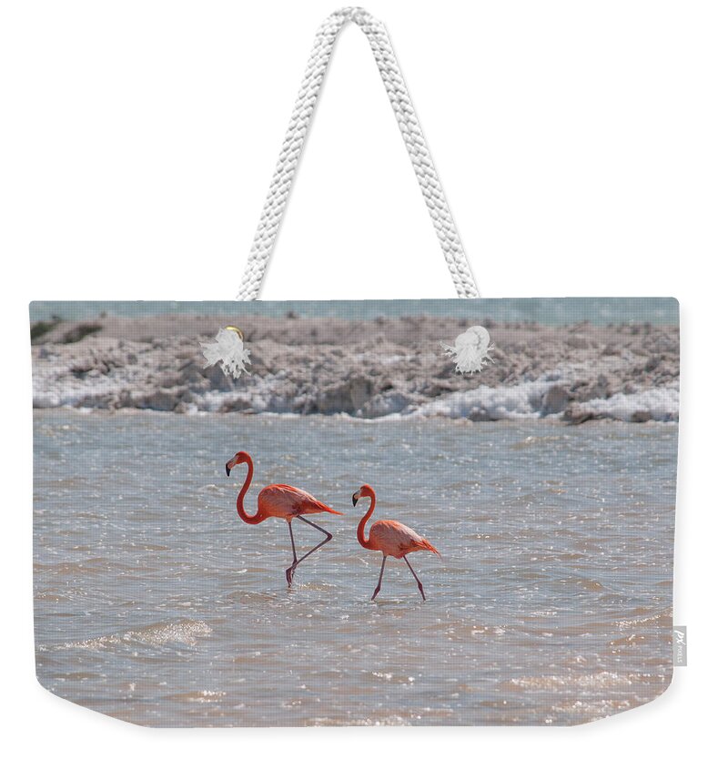 Mexico Yucatan Weekender Tote Bag featuring the digital art Flamingos #24 by Carol Ailles