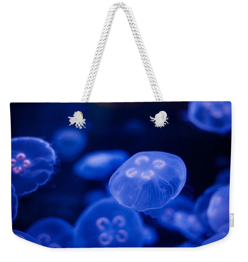 Jellyfish Weekender Tote Bag featuring the photograph Jellyfish #24 by U Schade