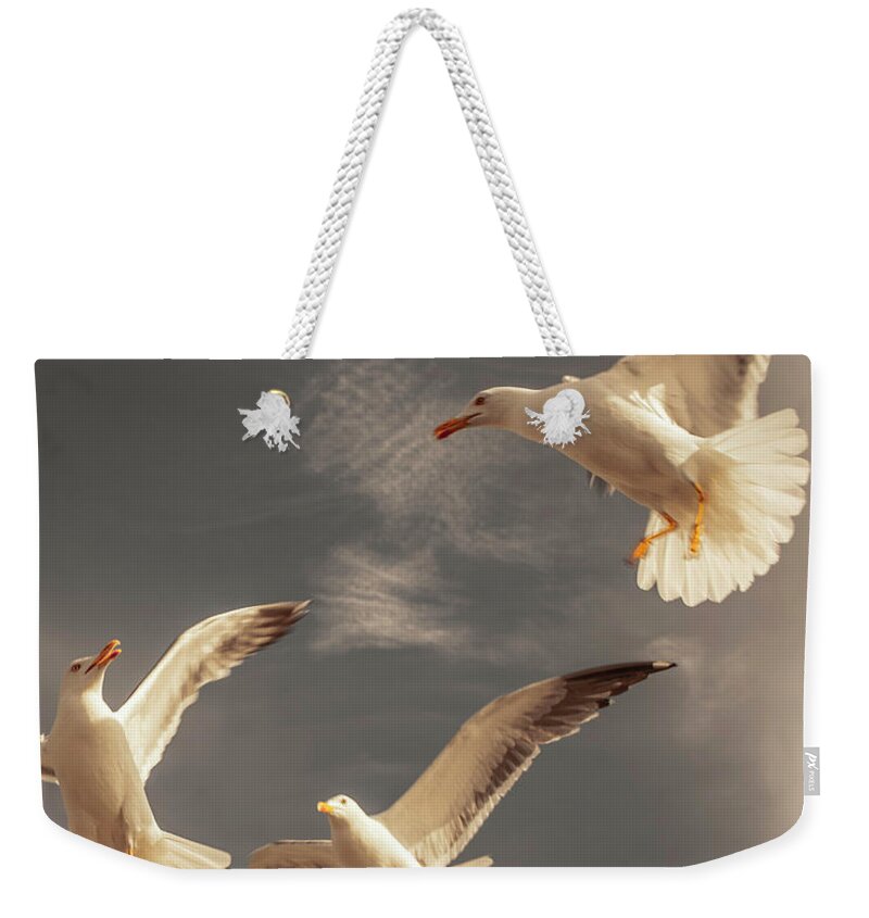 Downtown District Weekender Tote Bag featuring the photograph 3 Amigos by Johann S. Karlsson