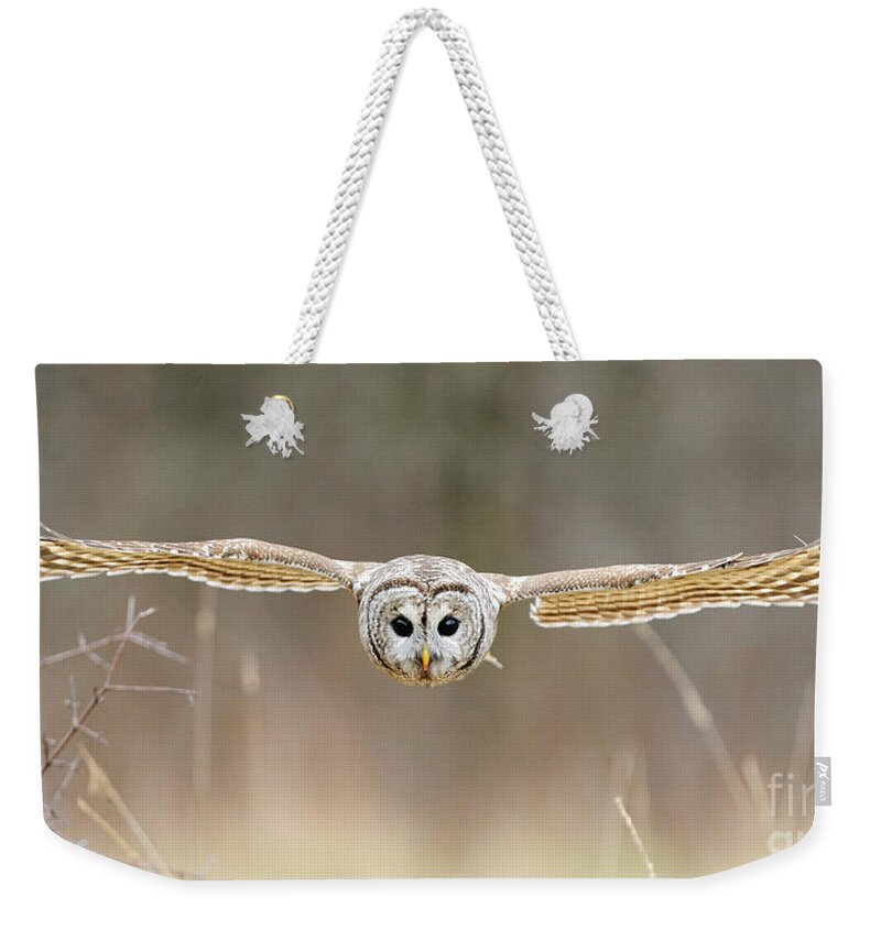 Barred Owl Weekender Tote Bag featuring the photograph Barred Owl In Flight #5 by Scott Linstead