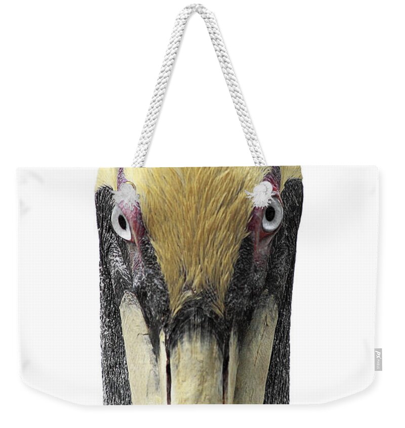 Pelican Weekender Tote Bag featuring the photograph Brown Pelican-2 by Rudy Umans