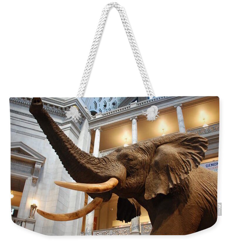 Bull Elephant Weekender Tote Bag featuring the photograph Bull Elephant in Natural History Rotunda by Kenny Glover