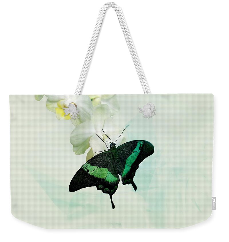 Butterfly Weekender Tote Bag featuring the photograph Butterfly #3 by Heike Hultsch