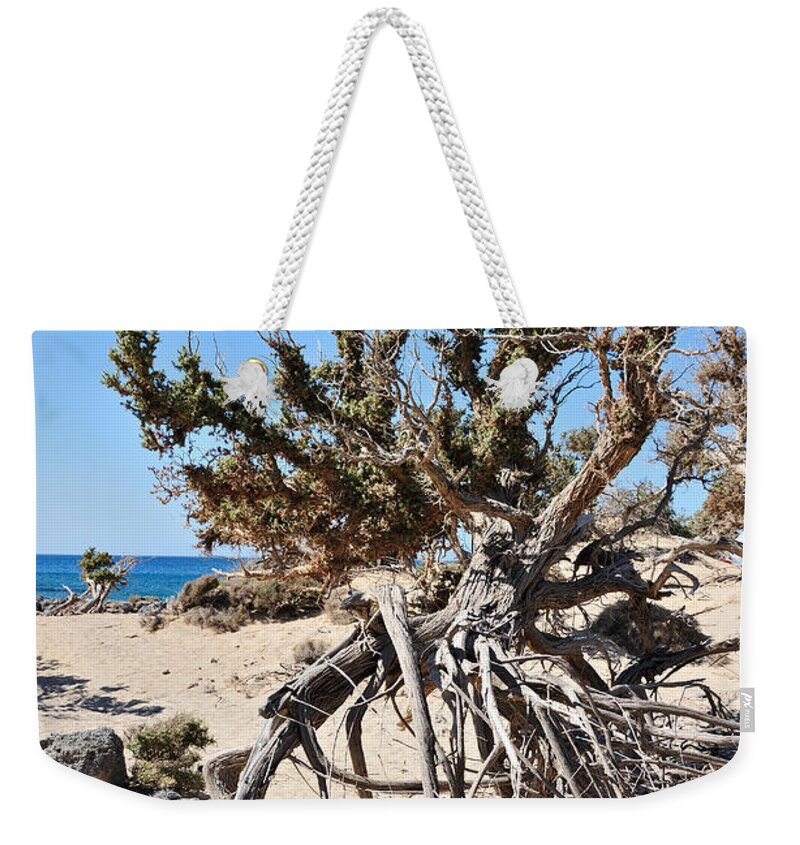 Cedar; Trees; Forest; Beach; Elafonisi; Sea; Crete; Elafonissi; Island; Elafonisos; Elafonissos; Islands; Kriti; Greece; Hellas; Greek; Hellenic; Holidays; Vacation; Travel; Trip; Voyage; Journey; Tourism; Touristic; Summer Weekender Tote Bag featuring the photograph Cedar trees forest #2 by George Atsametakis