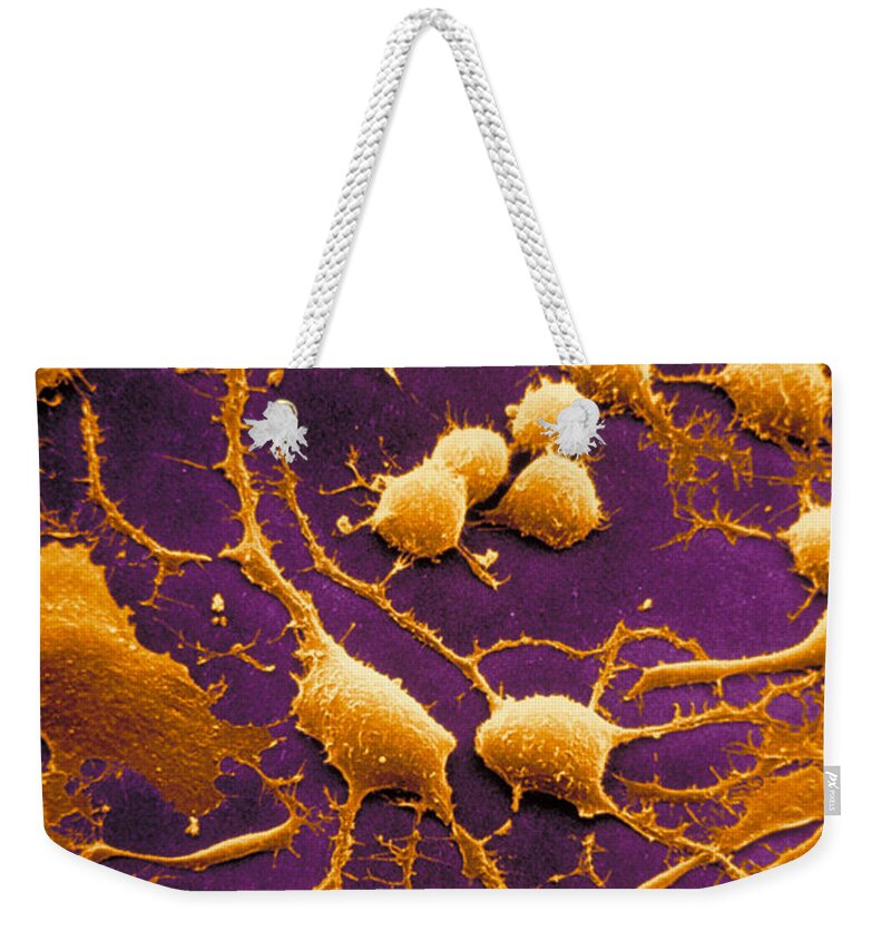 Dendrites Weekender Tote Bag featuring the photograph Dendrites #3 by David M. Phillips / The Population Council