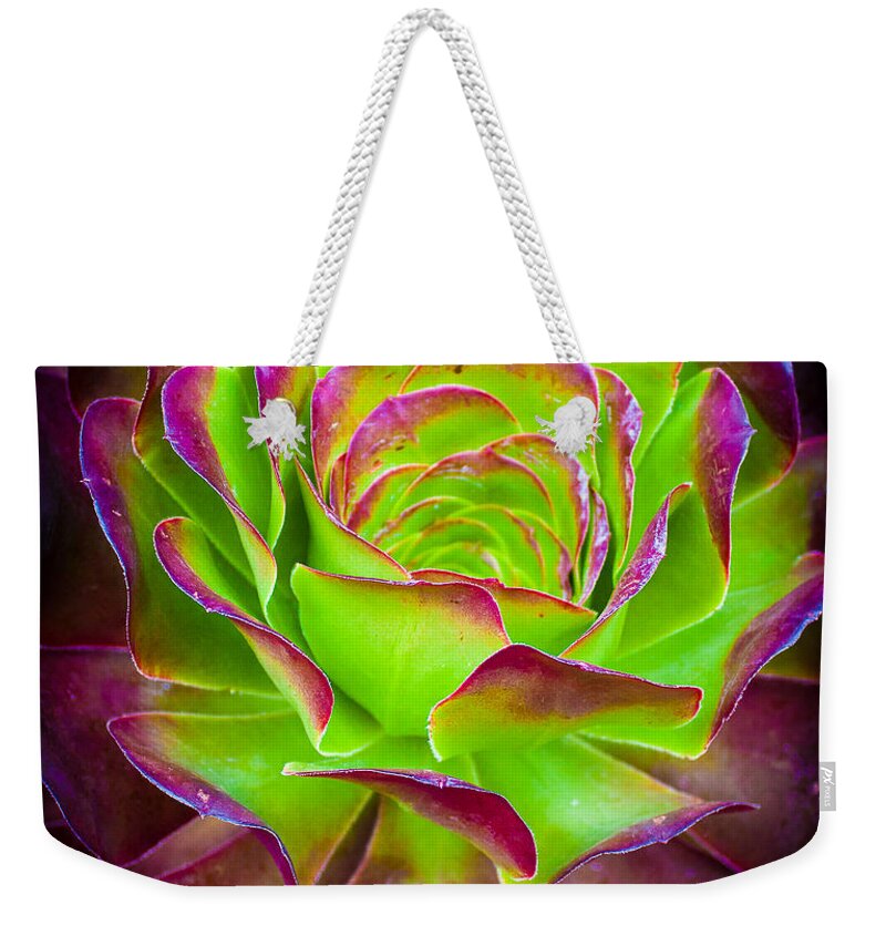 Neon Weekender Tote Bag featuring the photograph 3-Dimentional by Elizabeth Richardson