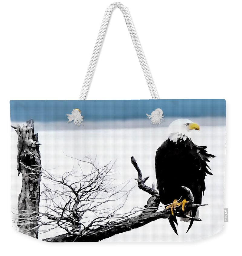 Eagle Weekender Tote Bag featuring the photograph Elegance in the Morning #3 by Terry Fiala