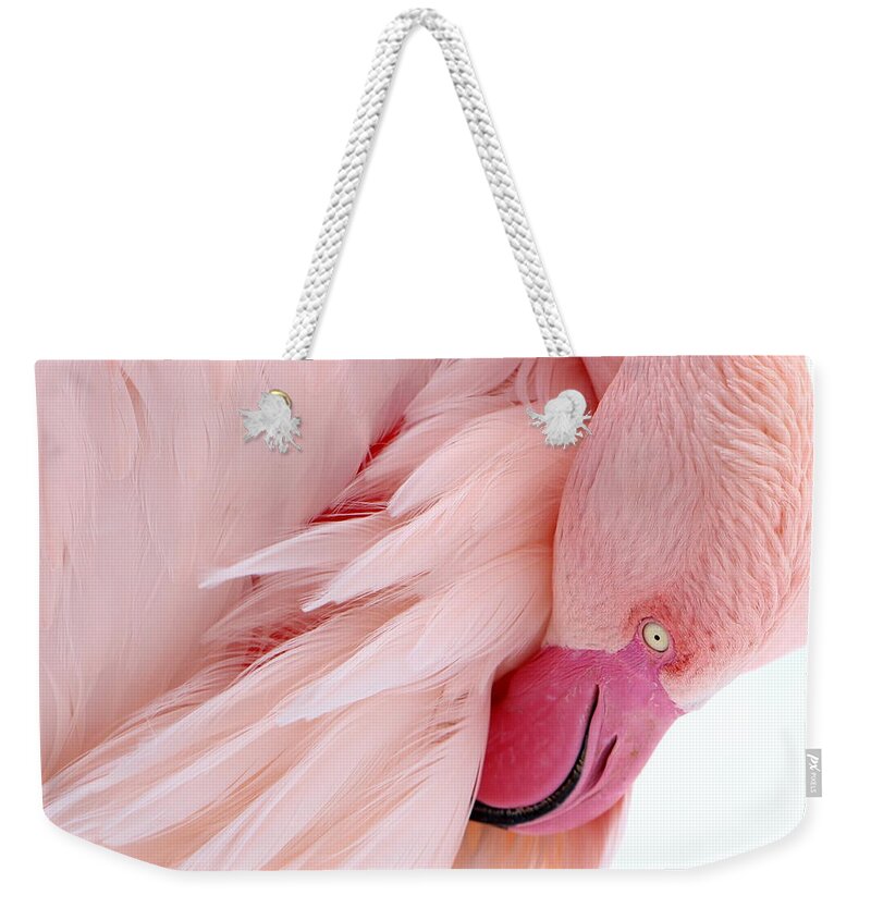 Flamingo Weekender Tote Bag featuring the photograph Flamingo #3 by Heike Hultsch