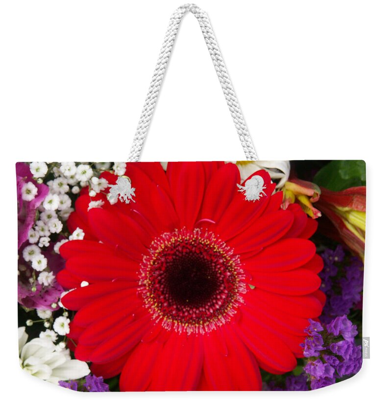 Asteraceae Weekender Tote Bag featuring the photograph Gerbera Daisy Gerbera Jamesonii #3 by Bonnie Sue Rauch