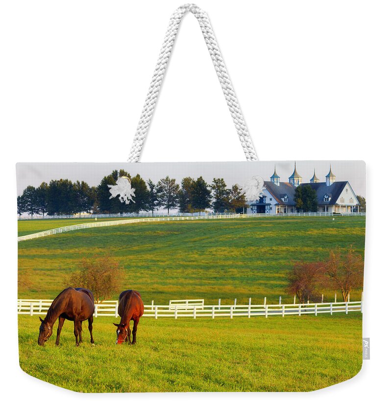 Farm Weekender Tote Bag featuring the photograph Horse Farm #3 by Alexey Stiop