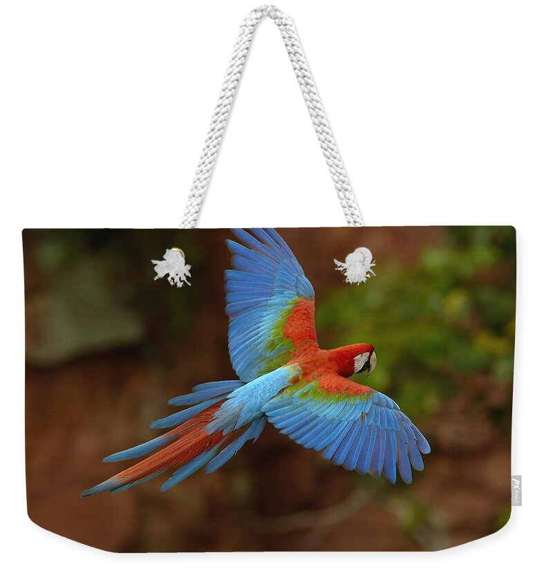 Feb0514 Weekender Tote Bag featuring the photograph Red And Green Macaw Flying Brazil #3 by Pete Oxford