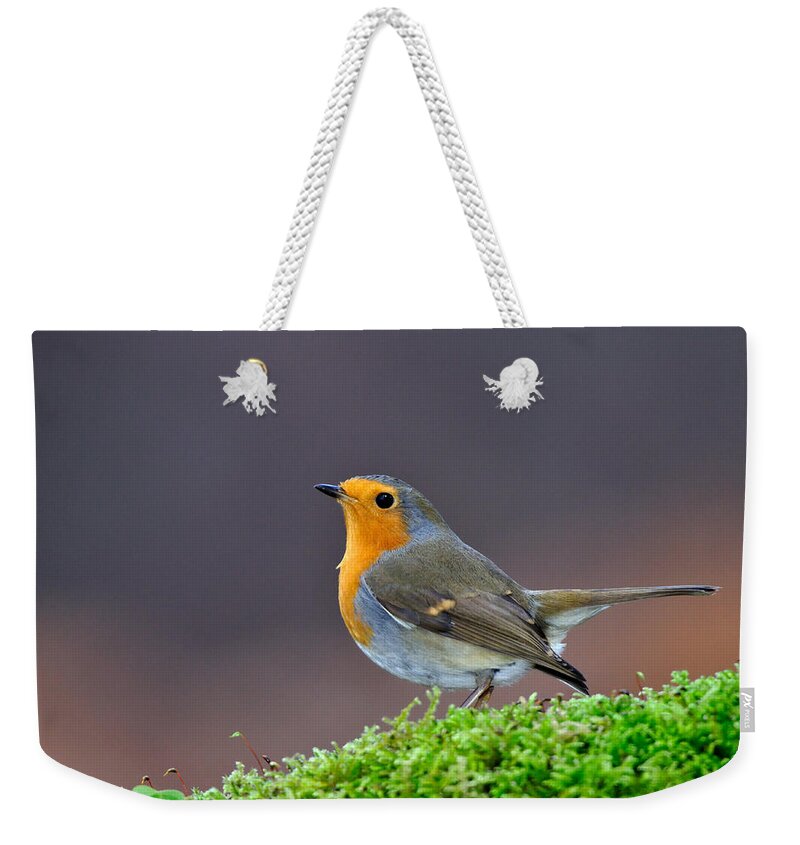 Robin Weekender Tote Bag featuring the photograph Robin #3 by Gavin Macrae