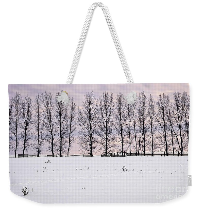 Landscape Weekender Tote Bag featuring the photograph Rural winter landscape 2 by Elena Elisseeva