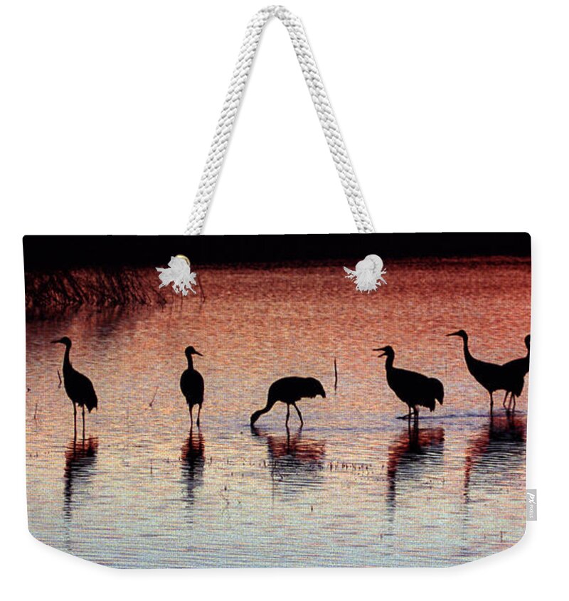 Birds Weekender Tote Bag featuring the photograph Sandhill Cranes #1 by Steven Ralser