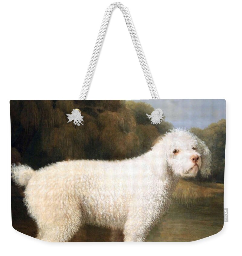 White Poodle In A Punt Weekender Tote Bag featuring the photograph Stubbs' White Poodle In A Punt by Cora Wandel
