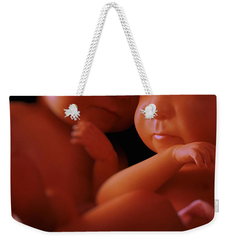 3d Visualisation Weekender Tote Bag featuring the photograph Twin Babies #3 by Science Picture Co