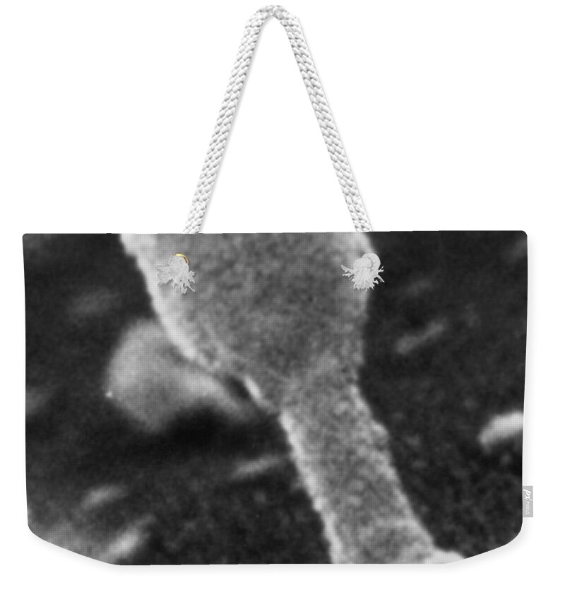 Bacteriophage Weekender Tote Bag featuring the photograph Untriggered T4 Coliphage #3 by Joseph F. Gennaro Jr.