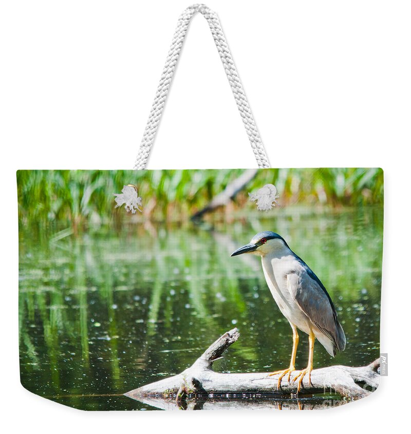 Night Heron Weekender Tote Bag featuring the photograph Waiting #3 by Cheryl Baxter