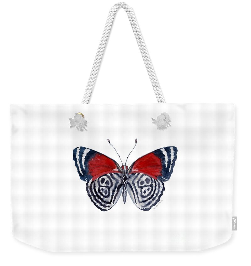 Diathria Weekender Tote Bag featuring the painting 37 Diathria Clymena Butterfly by Amy Kirkpatrick