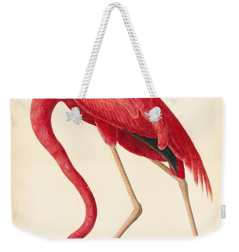 Audubon Watercolors Weekender Tote Bag featuring the drawing American Flamingo #4 by Celestial Images