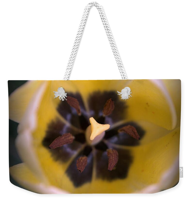 Bloom Weekender Tote Bag featuring the photograph Soft Bloom by Anjanette Douglas