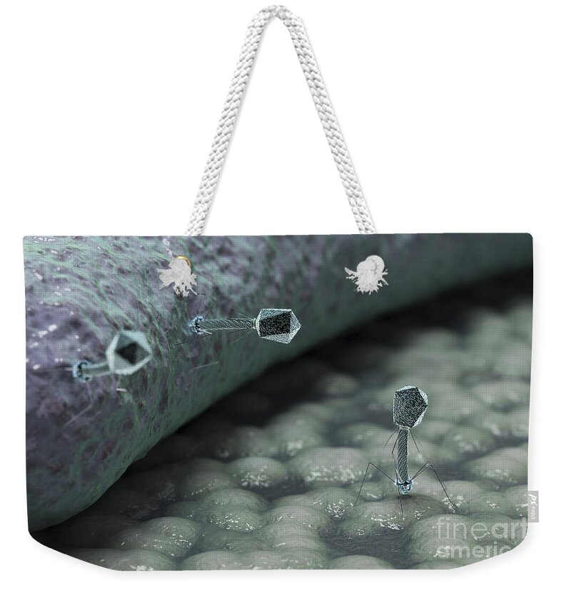Biomedical Illustration Weekender Tote Bag featuring the photograph Bacteriophages #4 by Science Picture Co