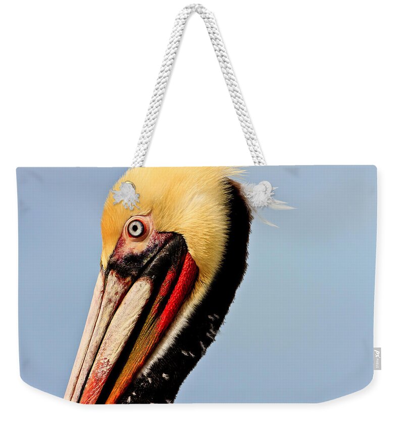 Pelican Weekender Tote Bag featuring the photograph Brown Pelican #4 by Ben Graham