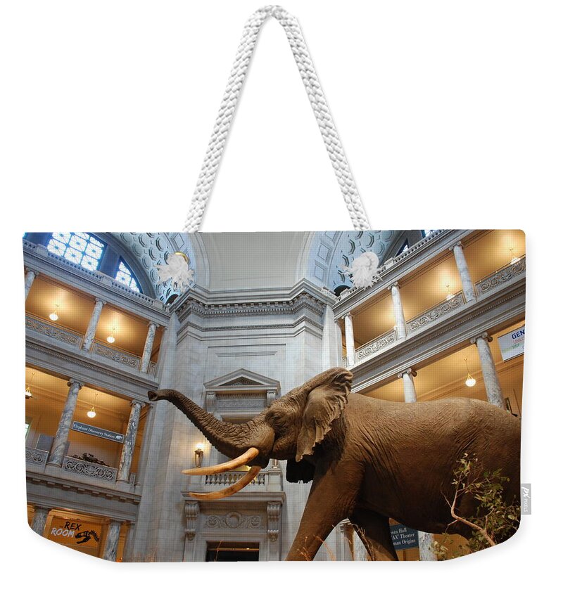 Bull Elephant Weekender Tote Bag featuring the photograph Bull Elephant in Natural History Rotunda by Kenny Glover