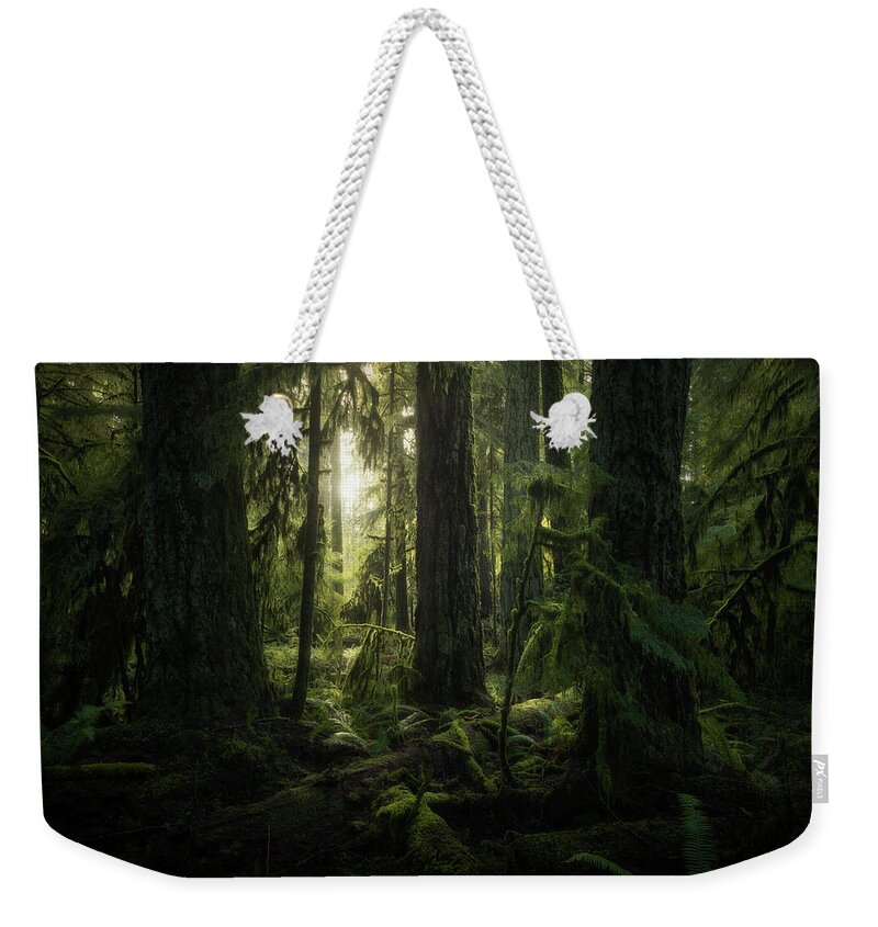 British Columbia Weekender Tote Bag featuring the photograph Cathedral Grove, Macmillan Provincial #4 by Robert Postma