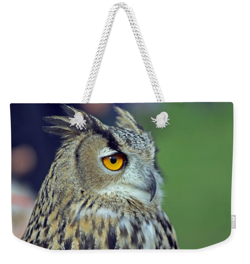 European Eagle Owl Weekender Tote Bag featuring the photograph European Eagle Owl #4 by Tony Murtagh