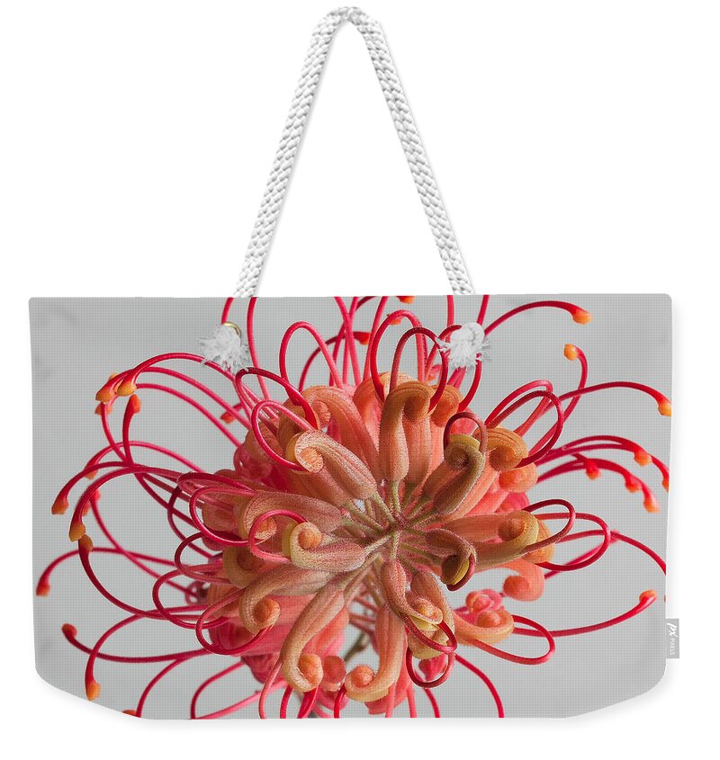 Grevillea Weekender Tote Bag featuring the photograph Grevillea flower by Shirley Mitchell