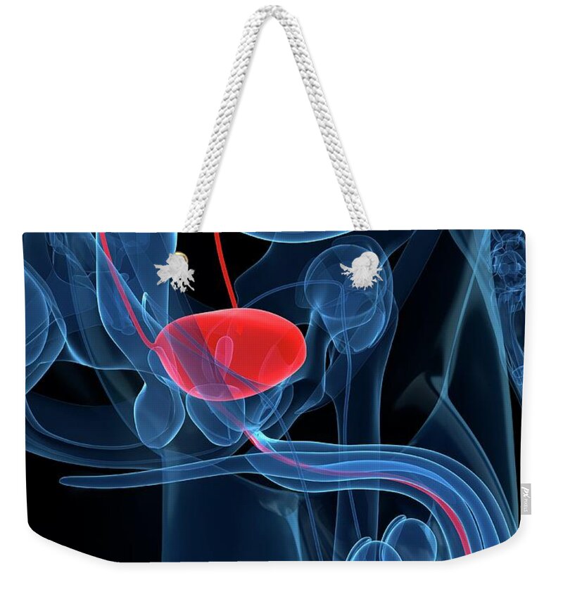 Prostate Gland Weekender Tote Bag featuring the digital art Healthy Prostate Gland, Artwork #4 by Sciepro