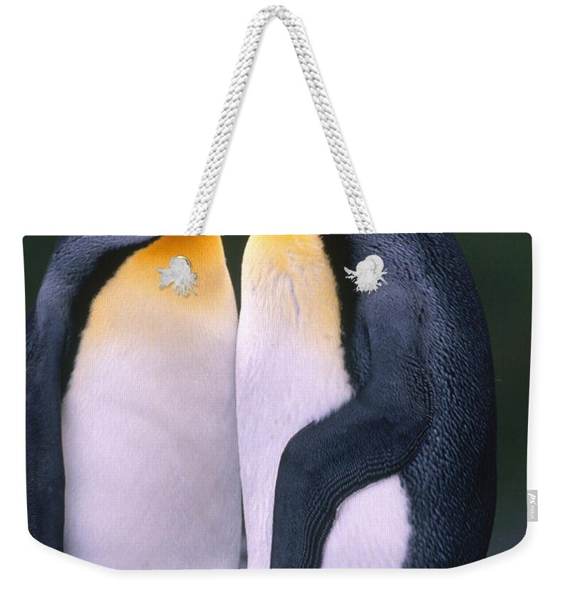 King Penguin Weekender Tote Bag featuring the photograph King Penguins #4 by Art Wolfe