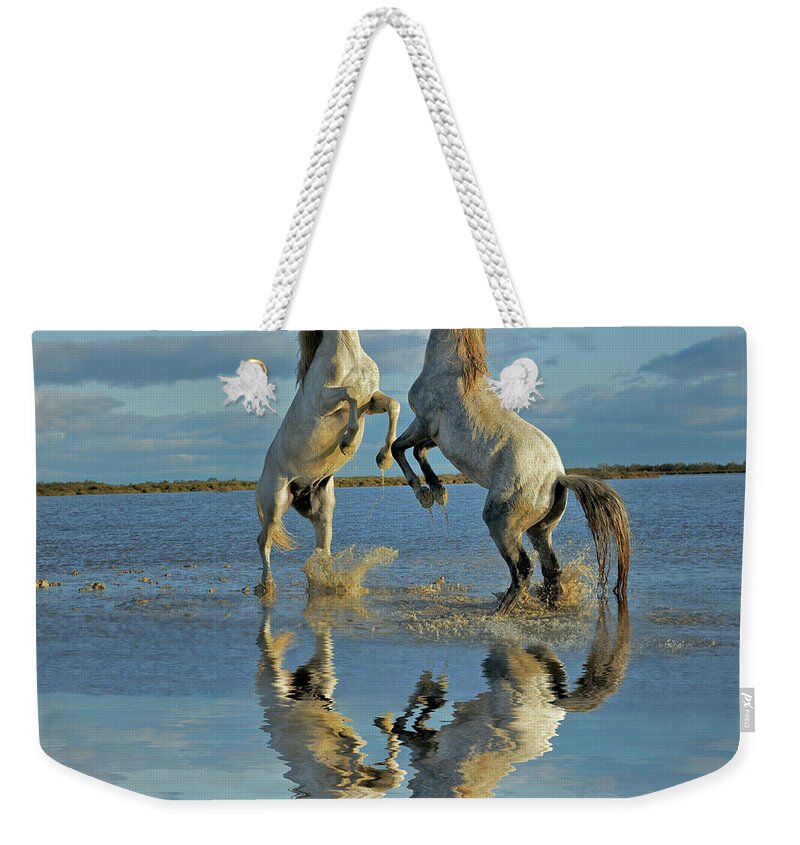 Animals In The Wild Weekender Tote Bag featuring the photograph Pair Of Camargue Horse Stallions #4 by Adam Jones