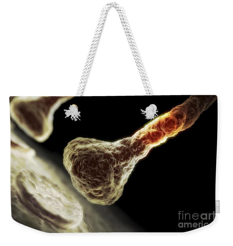 Synapses Weekender Tote Bag featuring the photograph Synapses #4 by Science Picture Co