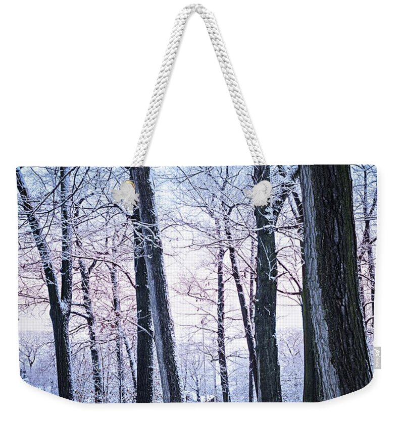 Winter Weekender Tote Bag featuring the photograph Winter park 2 by Elena Elisseeva
