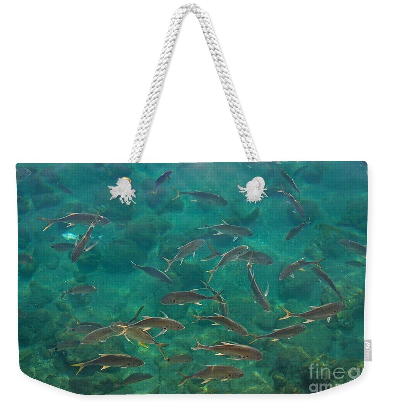 Jack Crevalle Weekender Tote Bag featuring the photograph 45- Jack Crevalle by Joseph Keane