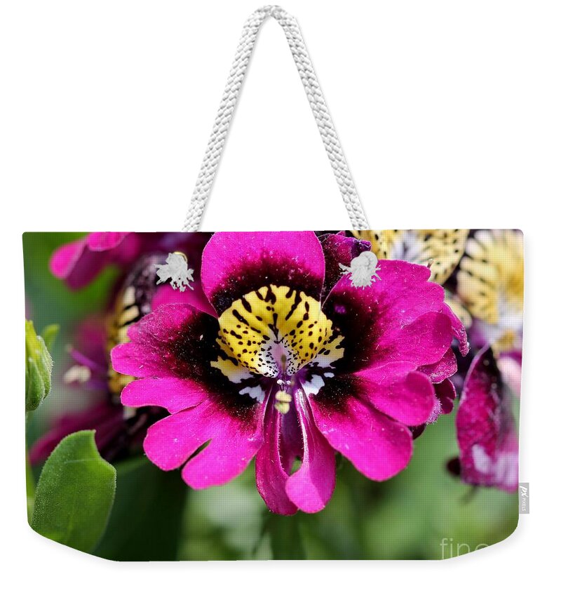 Mccombie Weekender Tote Bag featuring the photograph Schizanthus from the Hit Parade Mix #5 by J McCombie