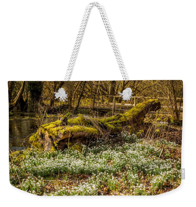Berkshire Weekender Tote Bag featuring the photograph Snowdrop Woods #5 by Mark Llewellyn