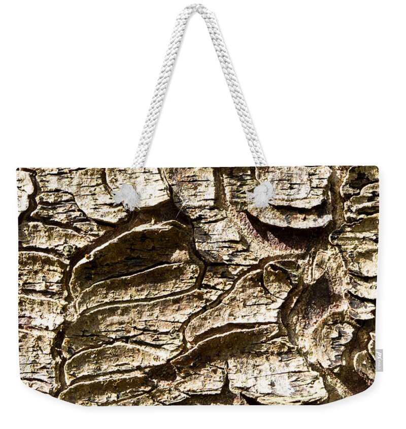 Abstract Weekender Tote Bag featuring the photograph Tree bark #5 by Tom Gowanlock