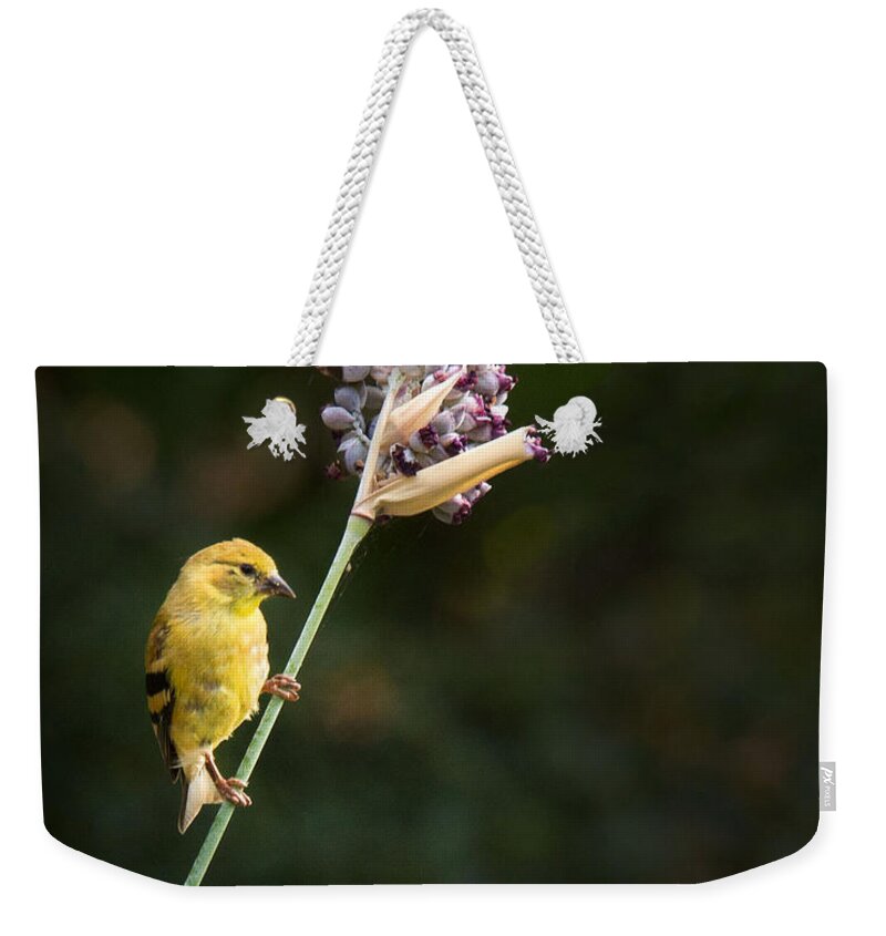 Bird Weekender Tote Bag featuring the photograph Balancing Act #7 by Jean Noren