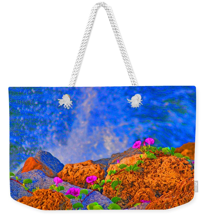  Palm Beach Weekender Tote Bag featuring the photograph 61- Alice In Palm Beach by Joseph Keane