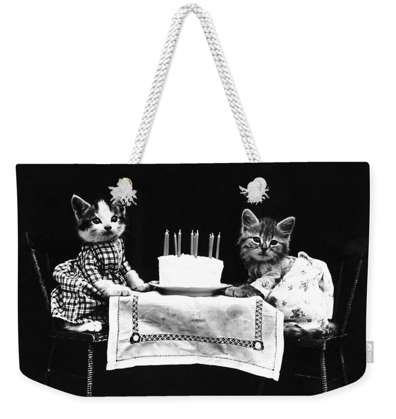 1914 Weekender Tote Bag featuring the photograph Frees Kittens, C1914 #7 by Granger