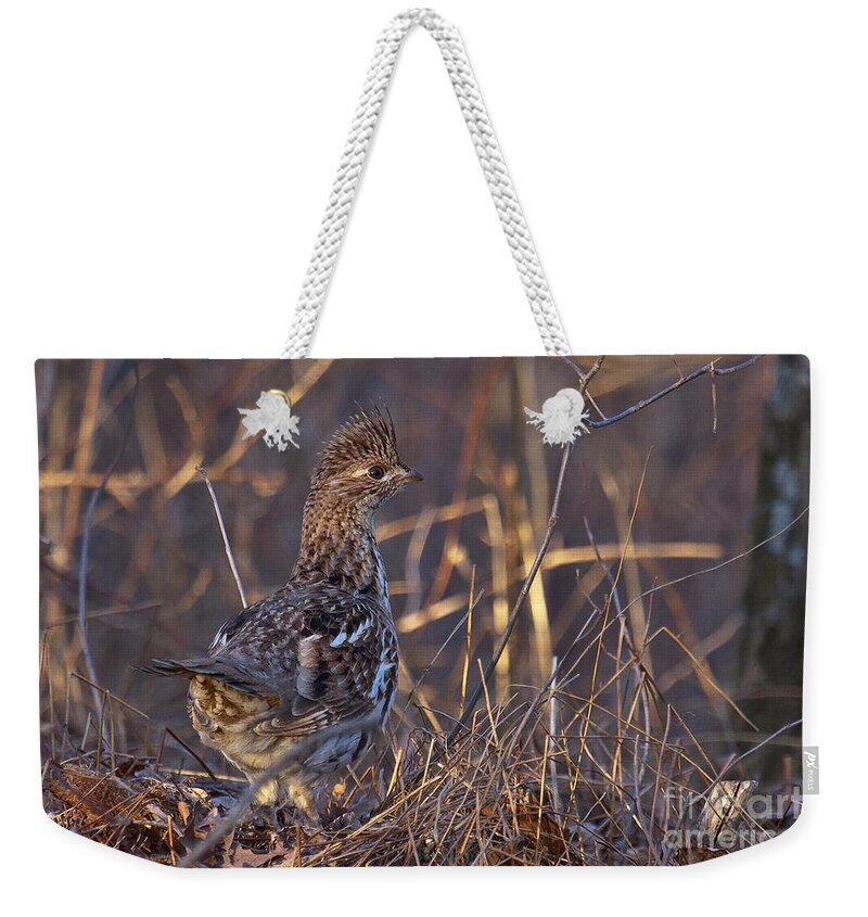 Bedford Weekender Tote Bag featuring the photograph Ruffed Grouse #7 by Ronald Lutz