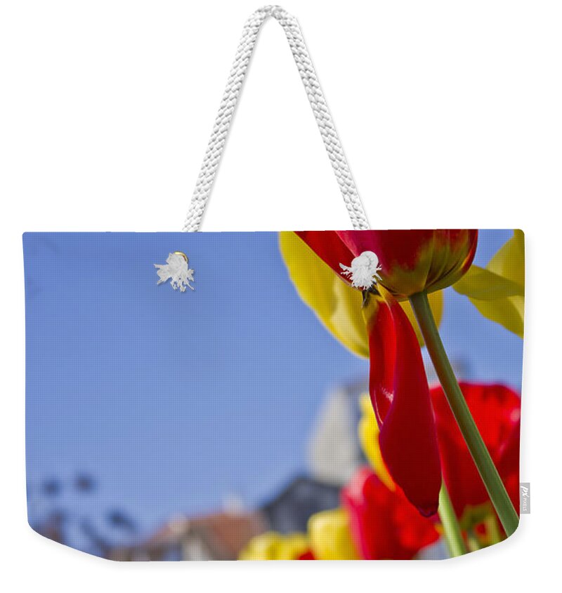 Nature Weekender Tote Bag featuring the photograph Tulips #7 by Paulo Goncalves