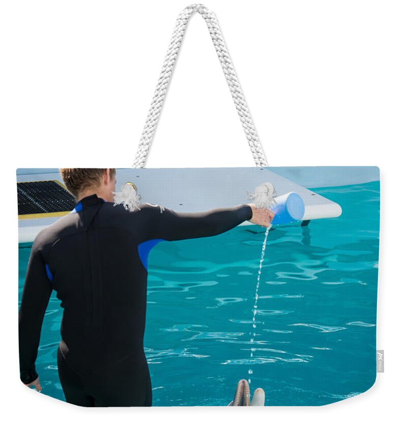 Clearwater Weekender Tote Bag featuring the digital art Winter #8 by Carol Ailles